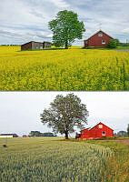 $field.value