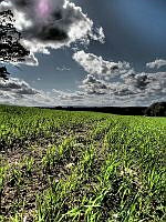 $field.value